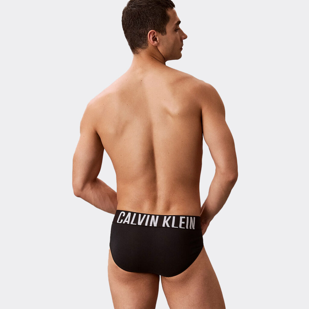 calvin-klein-intense-power-cotton-3-pack-briefs-000nb3607a-53v-harbor-mist-black-chilly-blue-2