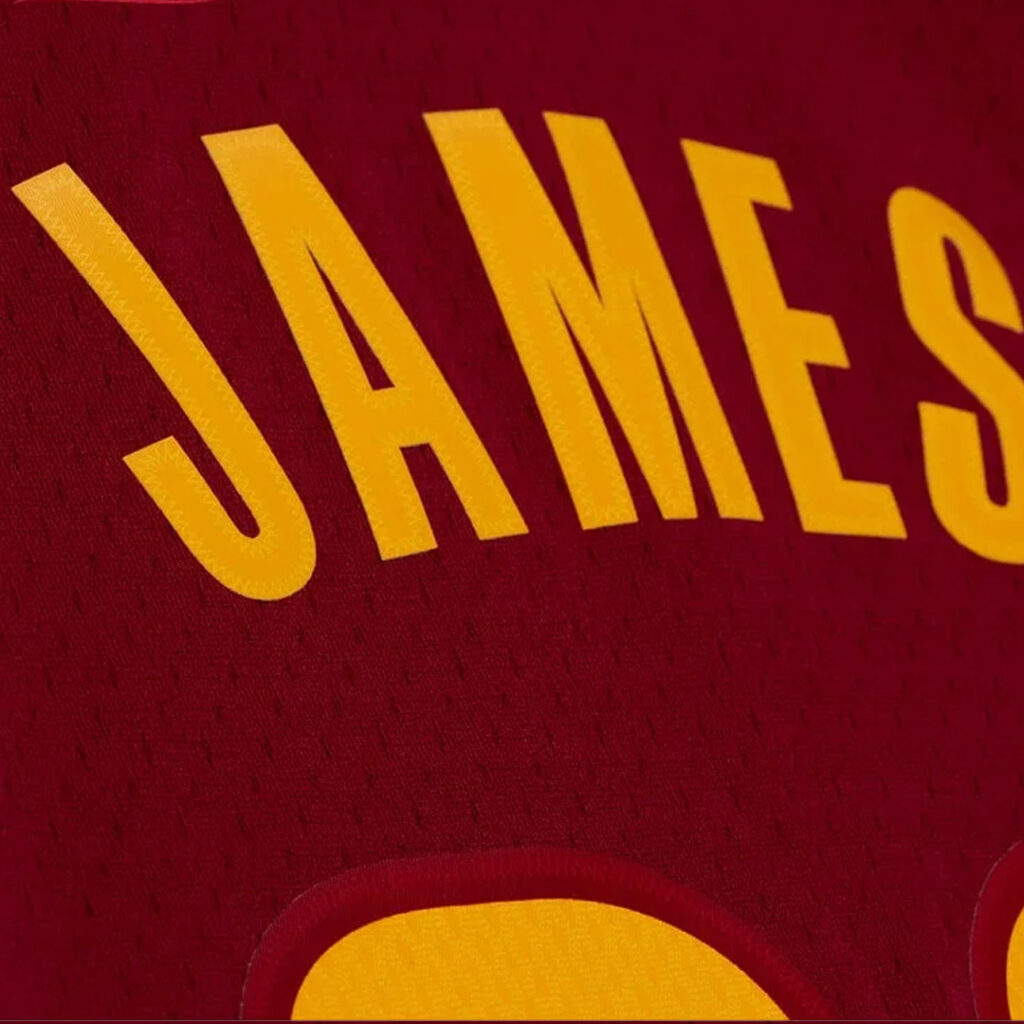 mitchell-and-ness-lebron-james-cleveland-cavaliers-2015-16-road-swingman-jersey-jy17520-ccacard-2