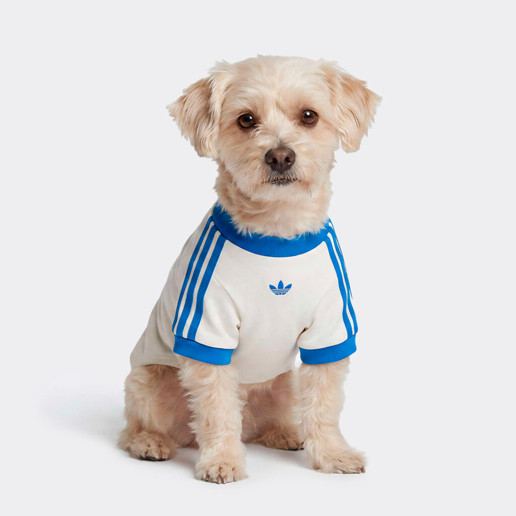adidas-pet-cali-tee-ky8732-off-white-2
