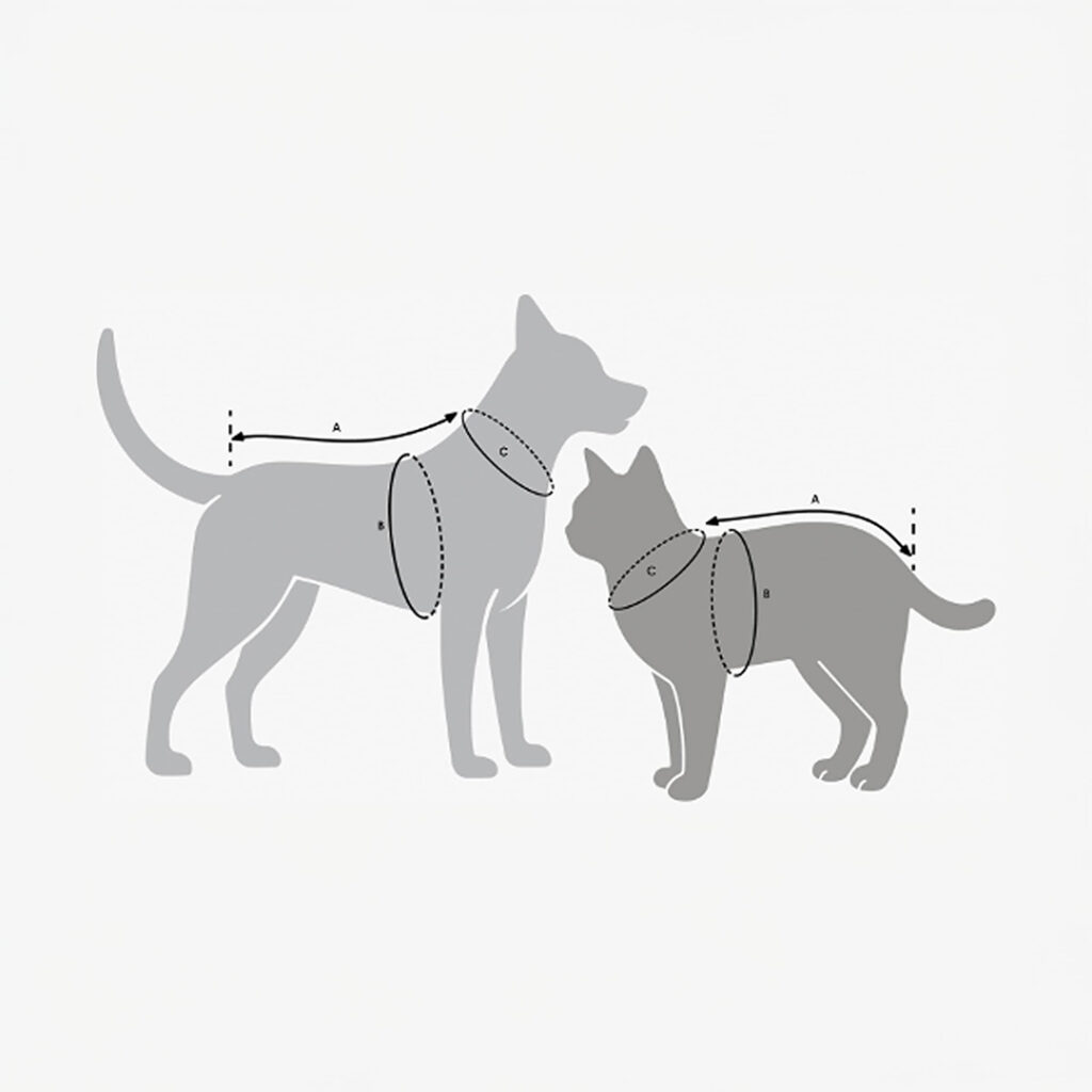 adidas-pet-cali-tee-ky8732-off-white-3