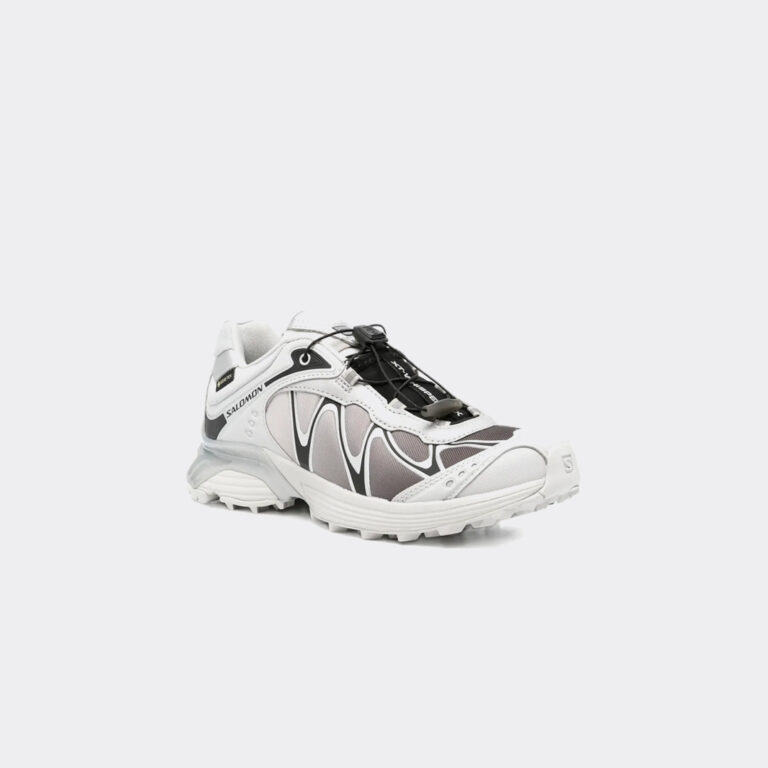 salomon-xt-whisper-gtx-l49192300-gray-violet-1